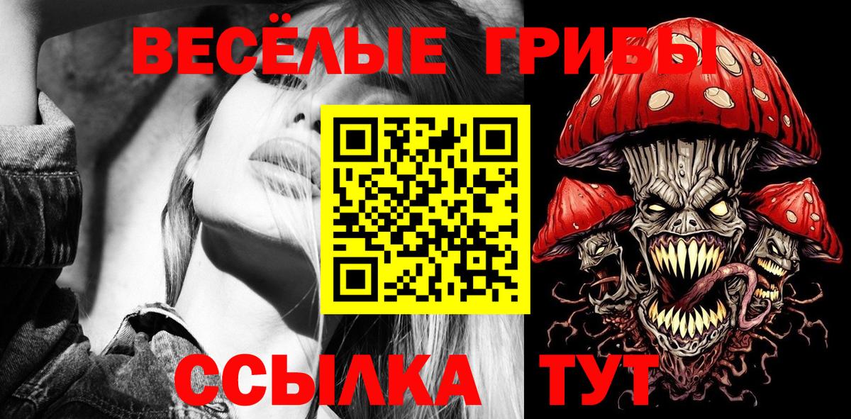 Псилоцибиновые грибы Psilocybe Рузаевка
