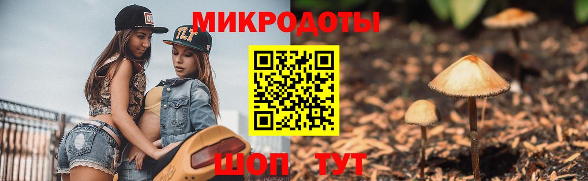 Псилоцибиновые грибы GOLDEN TEACHER  Вход с VPN  Рузаевка 